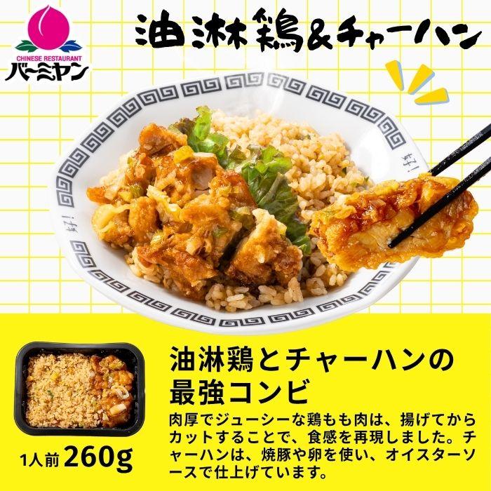 すかいらーく 冷凍食品 惣菜 ガスト チーズINハンバーグ＆バーミヤン