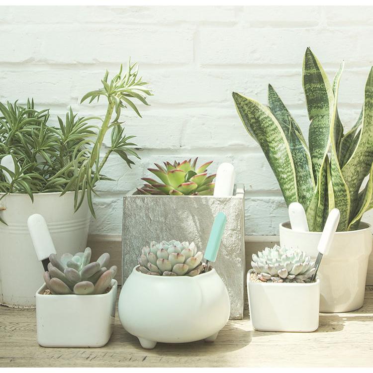 スマホ連動土壌テスター iPhone/Android対応 Appで植物の状態をチェック 土壌測定 水分 温度 栄養素 照度測定 技術認証マーク 透明ケース付き 防水 HHCC20G |  | 12