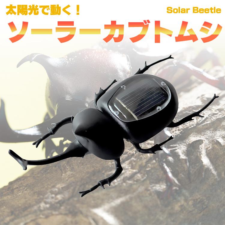 太陽光で動く ソーラーカブトムシ 知育玩具 カブトムシおもちゃ カッコいい ソーラー ビートル ソーラーパネルから給電 インテリア 贈り物 Skbtm115 Org スカイネットヤフーショップ 通販 Yahoo ショッピング