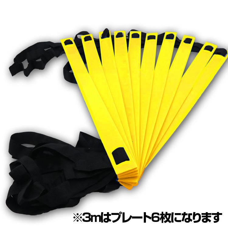 トレーニング ラダー スピードラダー 3m プレート6枚 トレーニング
