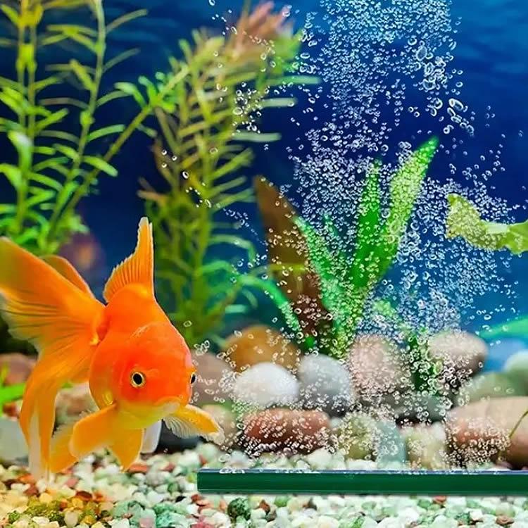 エアストーンバー 5個セット 21.5×1.7cm 酸素供給 水槽 釣り メダカ