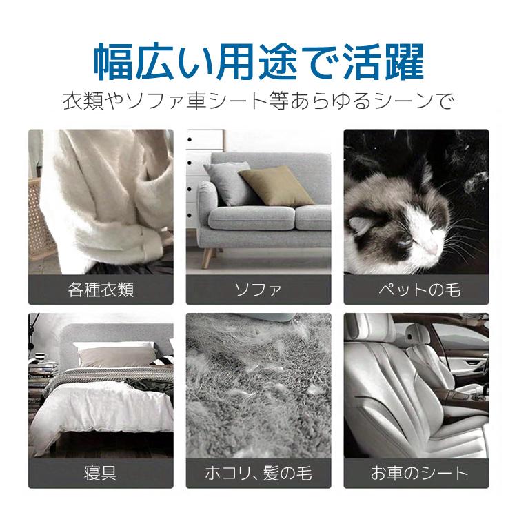 ホコリ取りブラシ 大小2個セット 携帯用ほこり取り エチケット