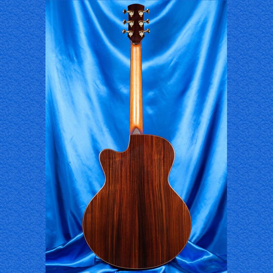 Ayers SJ07E-CX 2.0 ESN JP Custom【Super Naturalピックアップ内蔵
