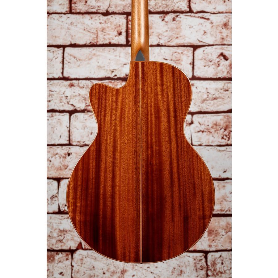 セール！】Ayers SJ04-C OTS2.5 JP Custom ＋ SHUBB F1カポプレゼント