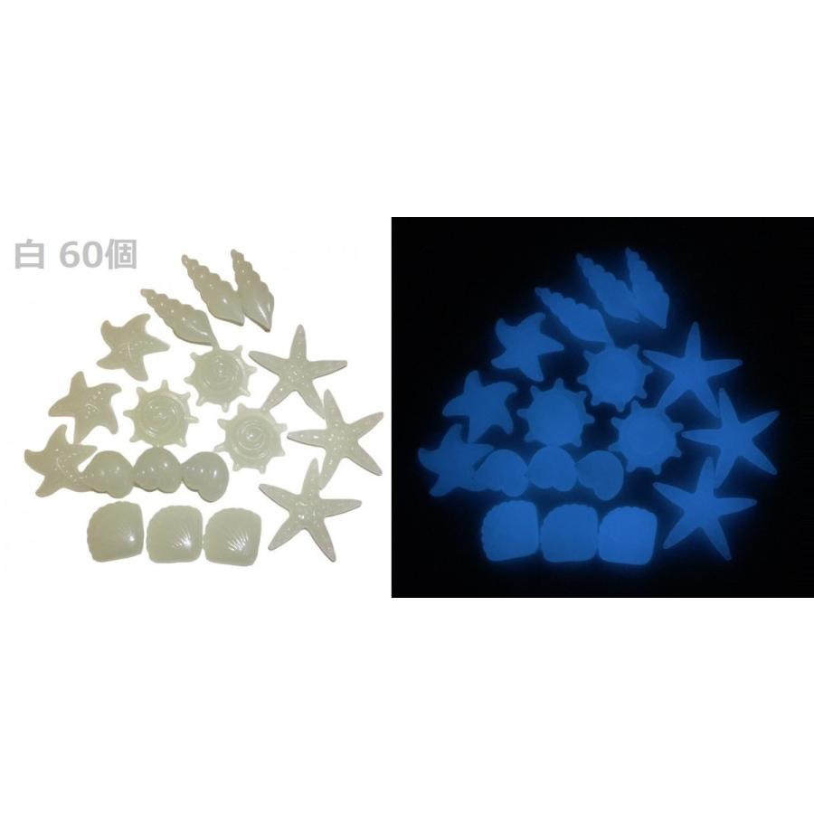 彩り石 飾り石 蓄光石 夜光石 光る石 アクアリウム 砂利石 水槽 インテリア ガーデニング 螺 貝殻 ヒトデ 60個 Fg 1094 Sky Voyage 通販 Yahoo ショッピング