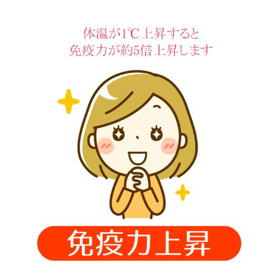 秋田県玉川温泉 岩盤浴ふとんDX シングル 温熱ふとん 湯の花 秋田県玉川温泉 岩盤浴ふとんDX シングル 温熱ふとん 湯の花