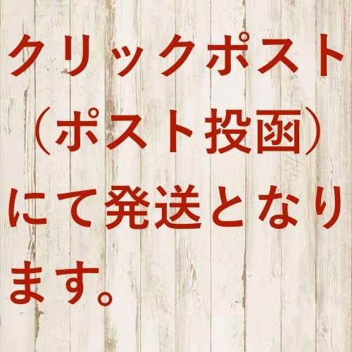 シュパット L マーナ shuoatto エコバッグ レジカゴ コンパクトバッグ かわいい おしゃれ 折り畳み　｜sleep-one-third｜11