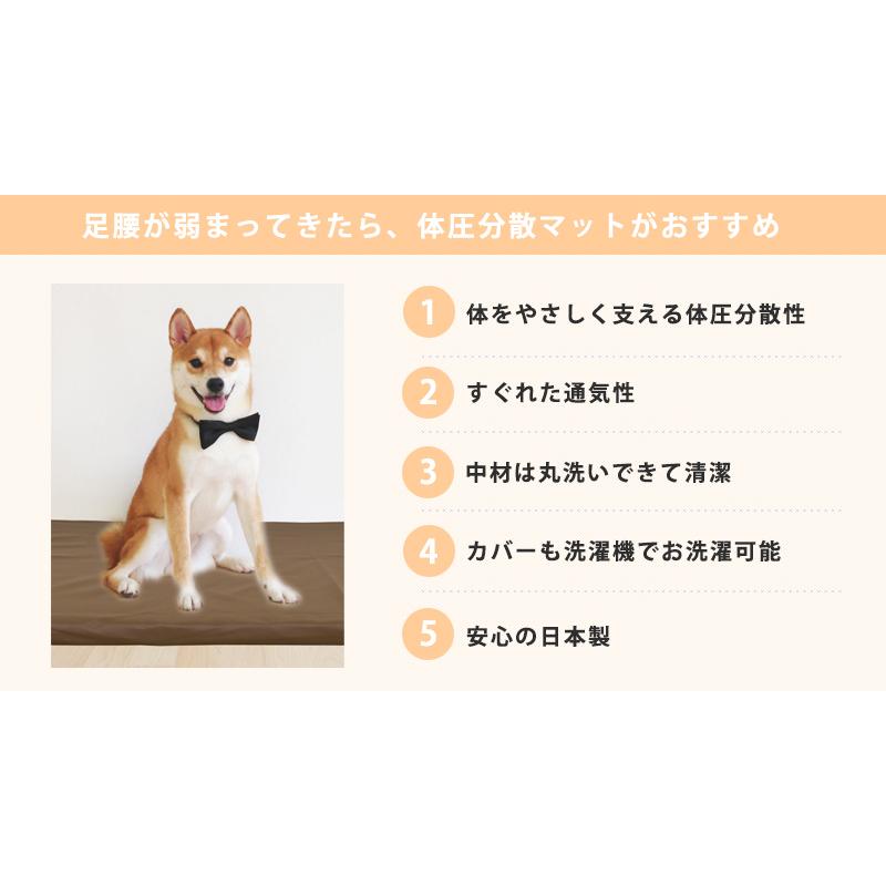 カバーも中材も洗える！ ペットケアマット 体圧分散マット 【 Sサイズ