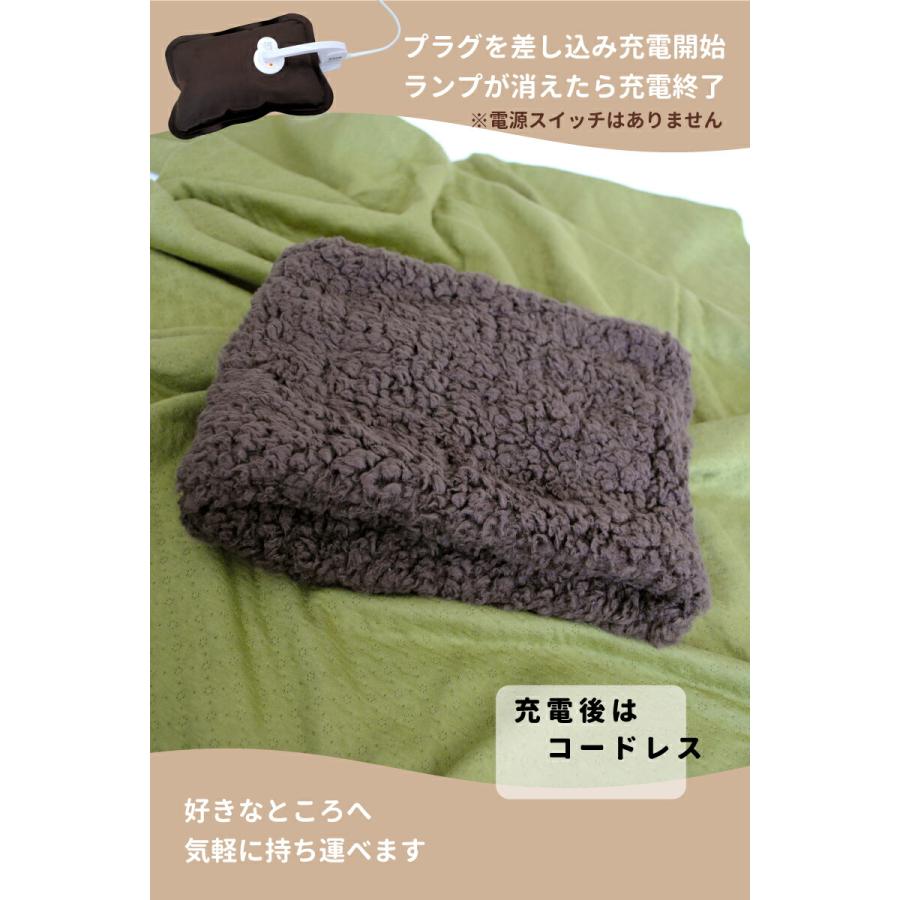 足 裏 湯たんぽ 電気 遠赤外線脚温器 ぽかぽか足Hot 足湯 足 冷え性