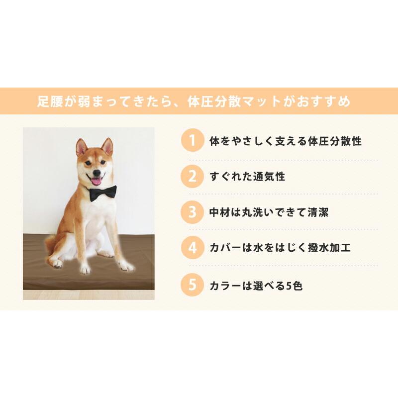 小型犬 〜 大型犬 ペットケアマット 体圧分散マット 3サイズ ペット用クッション レザーカバー付き 床ずれ防止 老犬介護用品 高反発マット ペット用マット ペッ_5