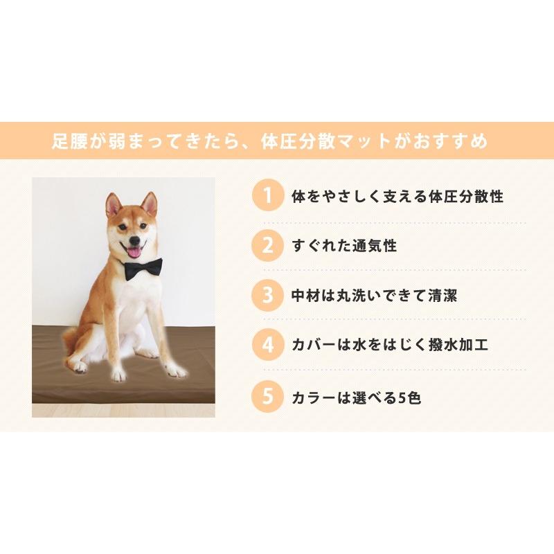 犬用ベッド Lサイズ 約95×132×4cm 中〜大型犬用 ペットケアマット 老犬