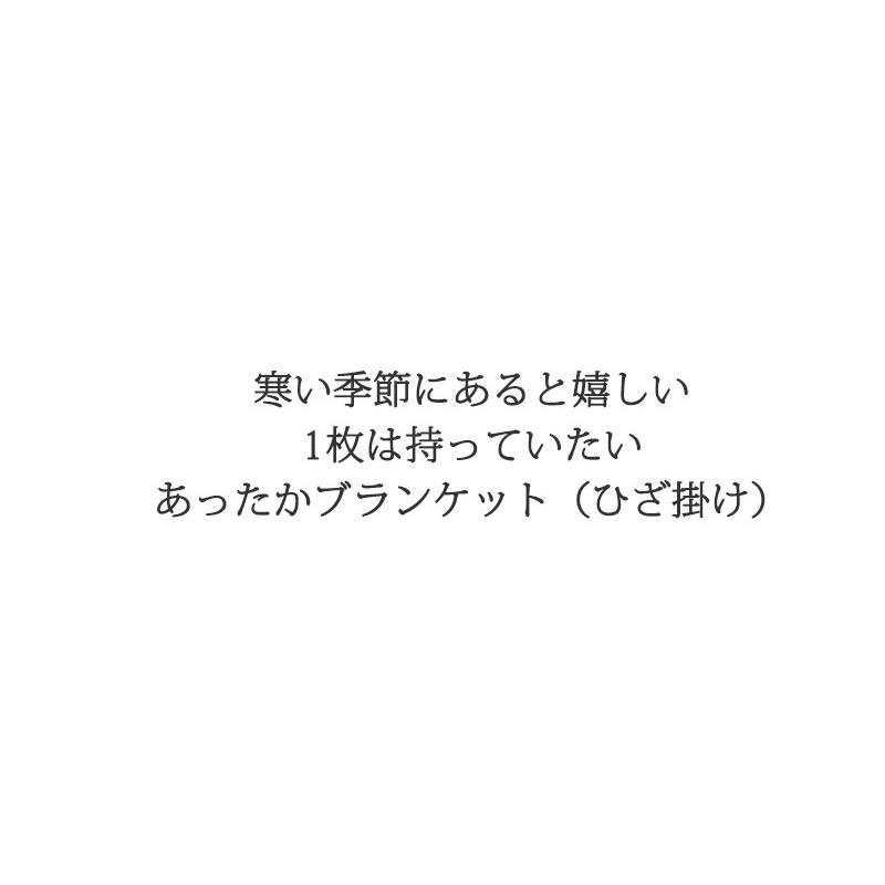 とってもecoな ブランケット 約70 100cm マイクロファイバー 毛布 ひざ掛け ひざかけ ひざ掛け 毛布 ブランケット 膝掛け ひざかけ ひざ掛け 膝かけ スリーププラス 通販 Yahoo ショッピング