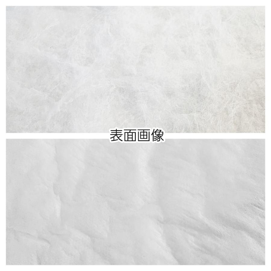 デッドニング用 吸音材 断熱シート 10cm単位 中綿 シンサレート 生地切