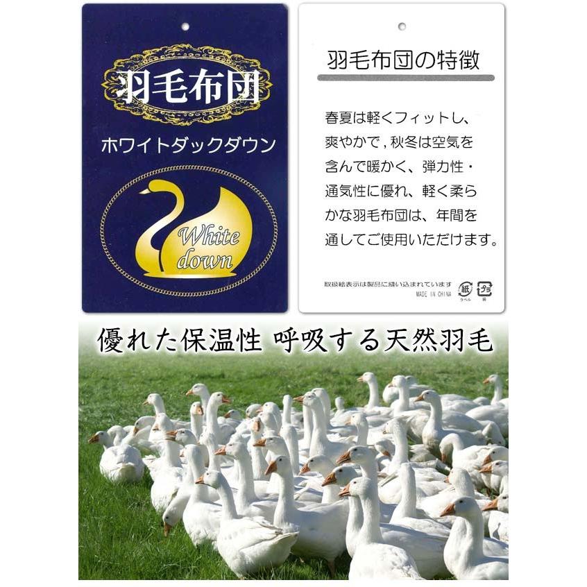 羽毛布団 シングル 掛け布団 ホワイトダックダウン 1.5kg入り くり衿 