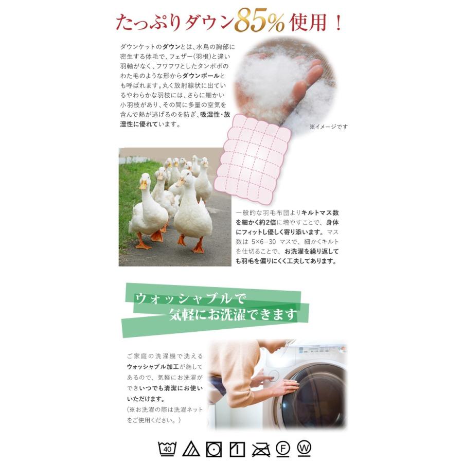 ダウンケット 京都西川 シングルロング 150×210cm ダウン85 ダウンケット 京都西川 シングルロング 150×210cm ダウン85