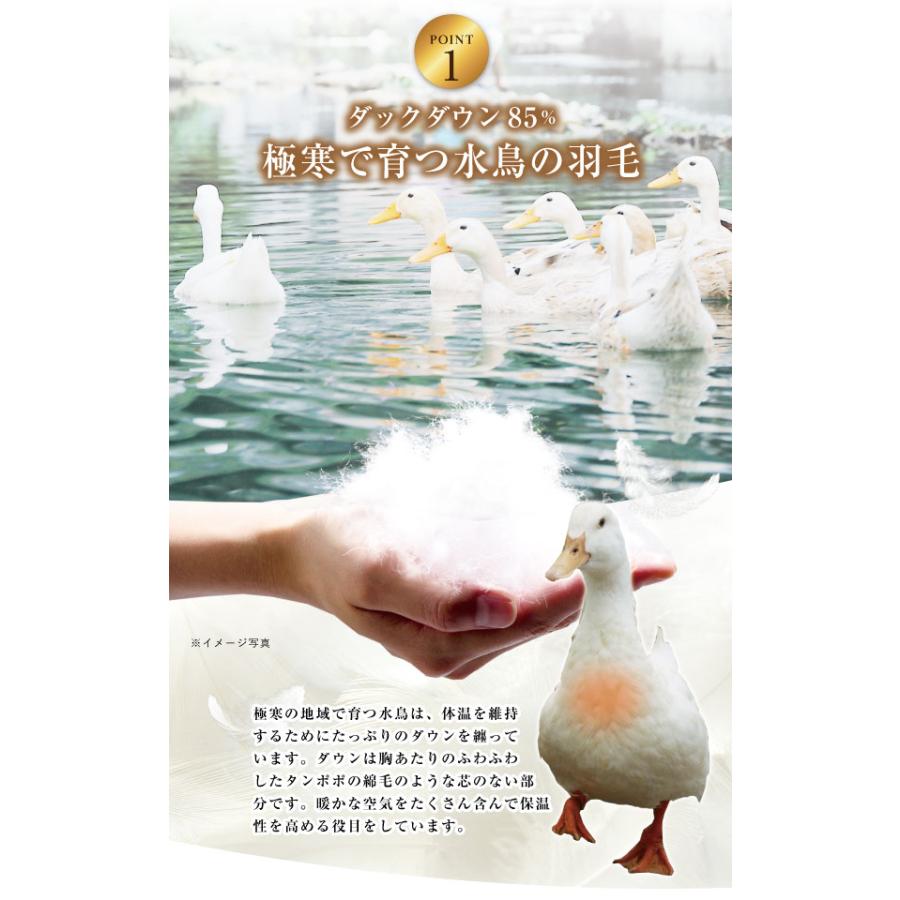 シングル 掛けふとん 水鳥羽毛100％　中古 Yahoo!オークション - 【必見】 水鳥羽毛100% 羽毛掛ふとん 羽毛ふとん
