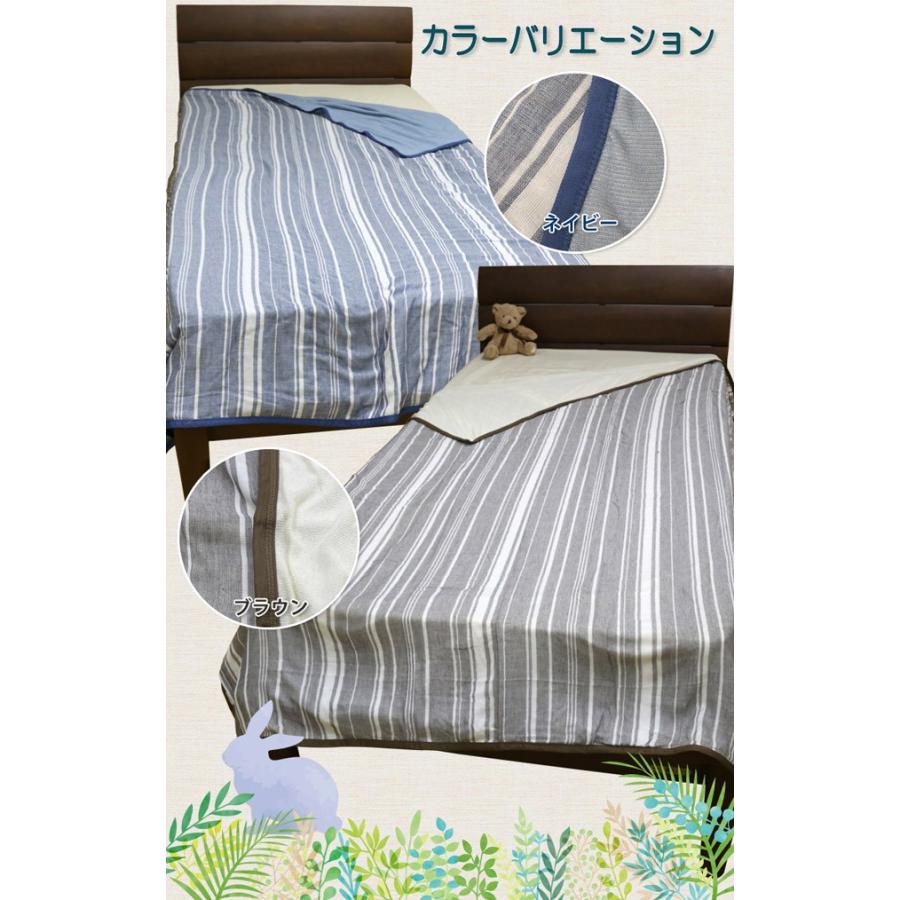お得な2点セット ガーゼパイルケット アルファ 送料無料 シングルロングサイズ SL 150×210cm (NS3-SL) 綿100％ （ガーゼ・パイル部分） マルチストライプ柄 |  | 01