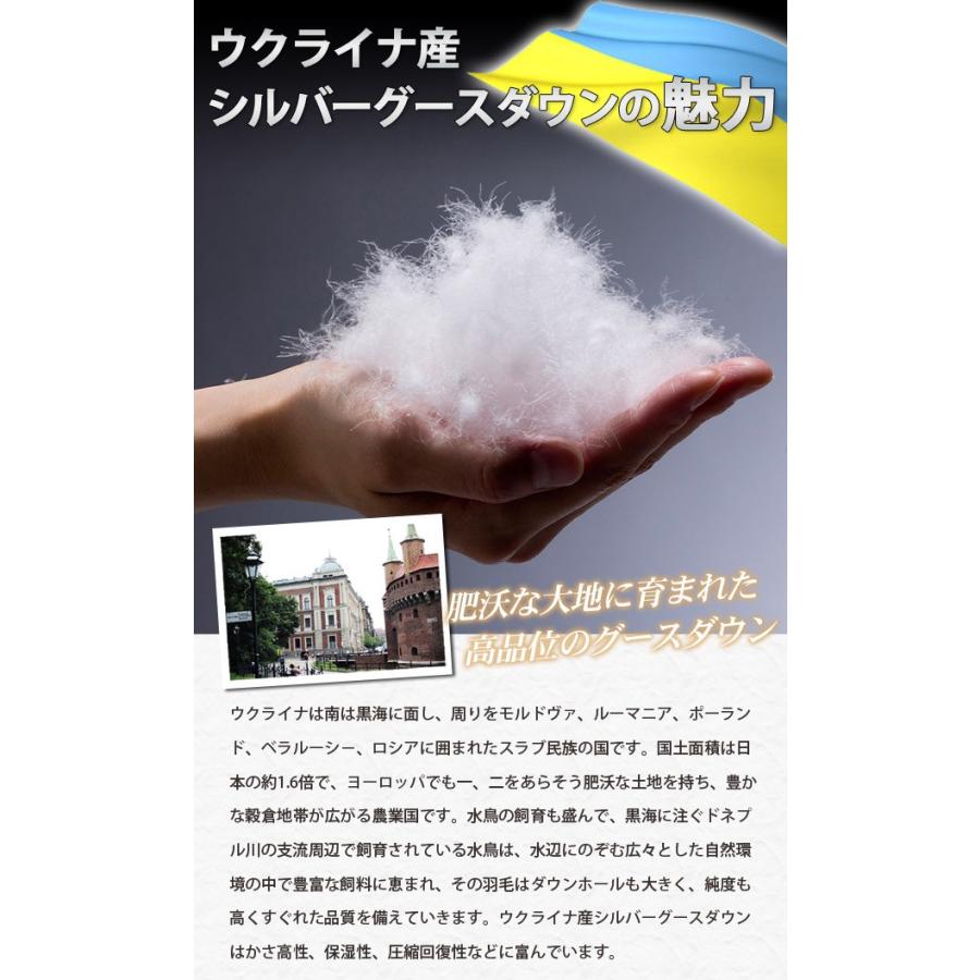 西川（nishikawa） 羽毛布団 シングルロング 150×210cm シルバーグース 