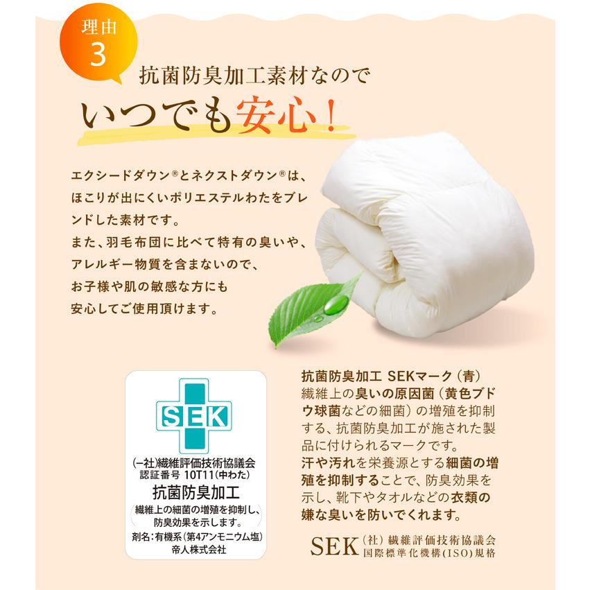送料無料 掛けふとん 昭和西川 合繊掛けふとん　KL キングロングサイズ 約230×210cm エクシードダウン2 ネクストダウン 立体キルト | 昭和西川 | 08