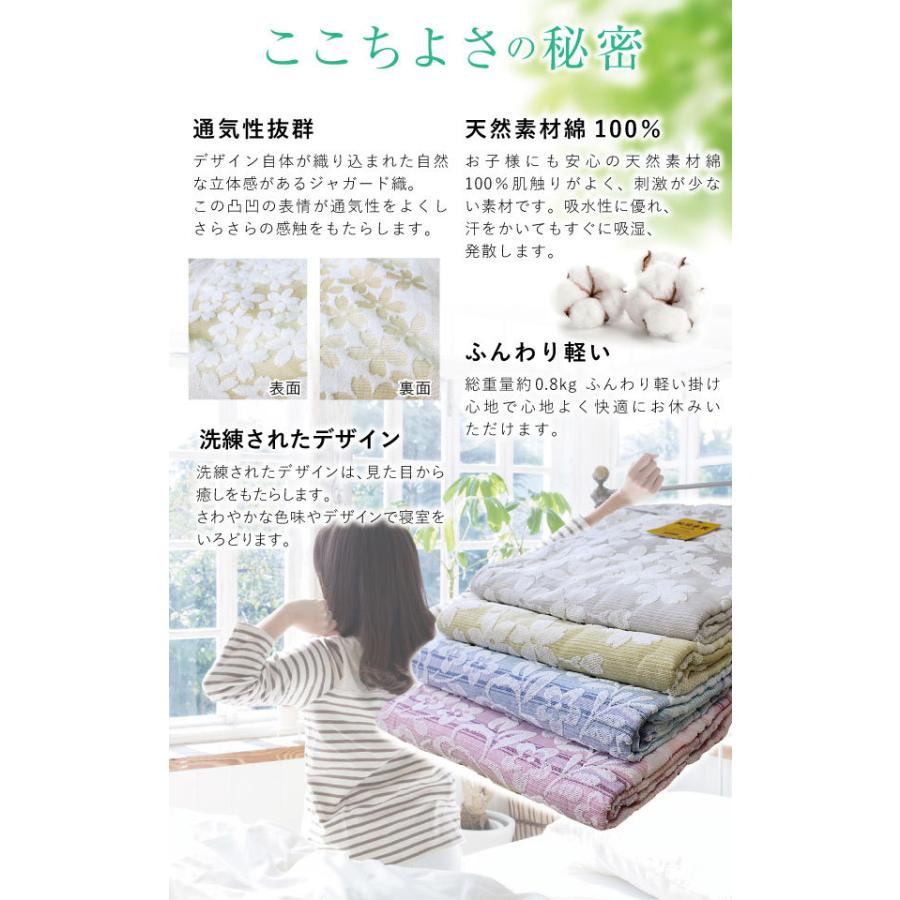 タオルケット 送料無料 シングル 140×190cm 今治発 純日本製