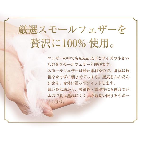 掛け布団 羽根肌掛け布団 送料無料 ダブルロング 190×210cm（NS7-DL