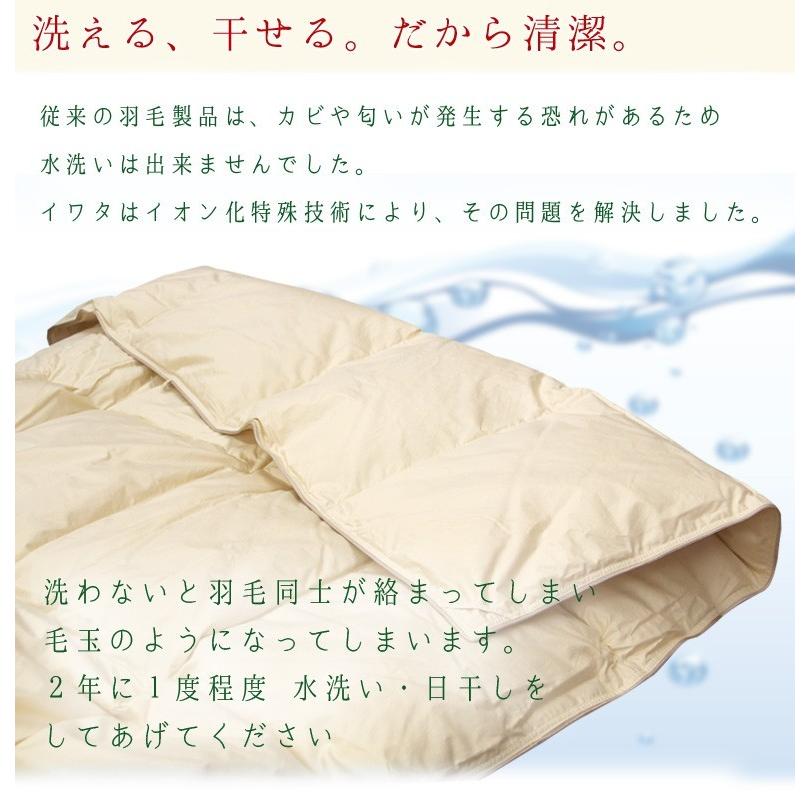 羽毛布団 ダウンケット シングルロング ウクライナダックダウン 羽毛肌掛け 肌掛け イワタ 掛け布団 洗える 日本製 国産 羽毛 夏 春 夏用掛け布団 |  | 07