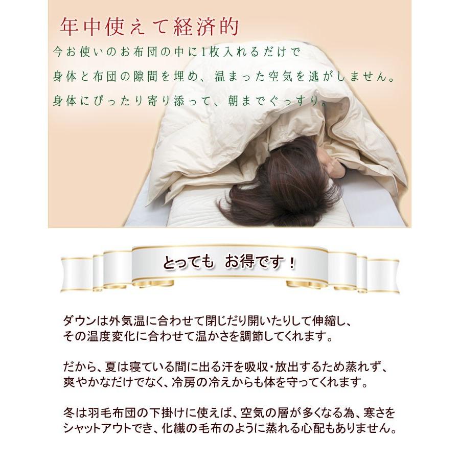 羽毛布団 ダウンケット シングルロング ウクライナダックダウン 羽毛肌掛け 肌掛け イワタ 掛け布団 洗える 日本製 国産 羽毛 夏 春 夏用掛け布団 |  | 09