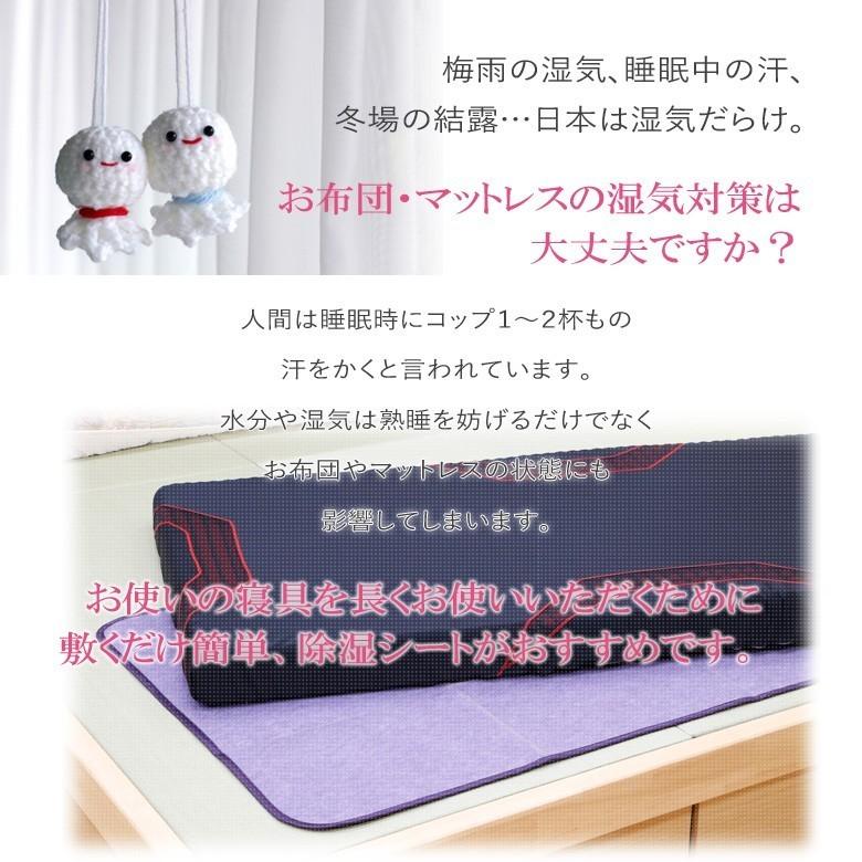 除湿シート 除湿マット シングル 2枚組 テイジン ベルオアシス 滑り止め付き 結露 防カビ 湿気 寝汗 対策 調湿 湿気取り |  | 01