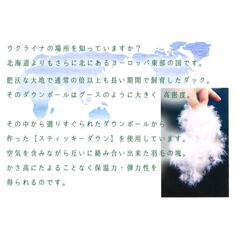 イワタ 羽毛掛け布団 クイーンロング 210×210cm ウクライナダックダウン 羽毛 掛け布団 羽根布団 羽布団 羽毛布団 iwata 岩田 |  | 03