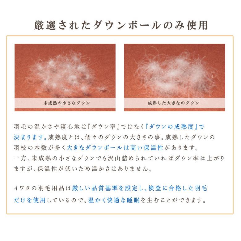 カイロ 羽毛カイロ イワタ 保温 冷え性 冷え防止 水洗いOK 繰り返し使える エコ 節電 冬 あったかグッズ |  | 01