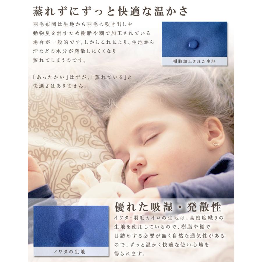 カイロ 羽毛カイロ イワタ 保温 冷え性 冷え防止 水洗いOK 繰り返し使える エコ 節電 冬 あったかグッズ |  | 02