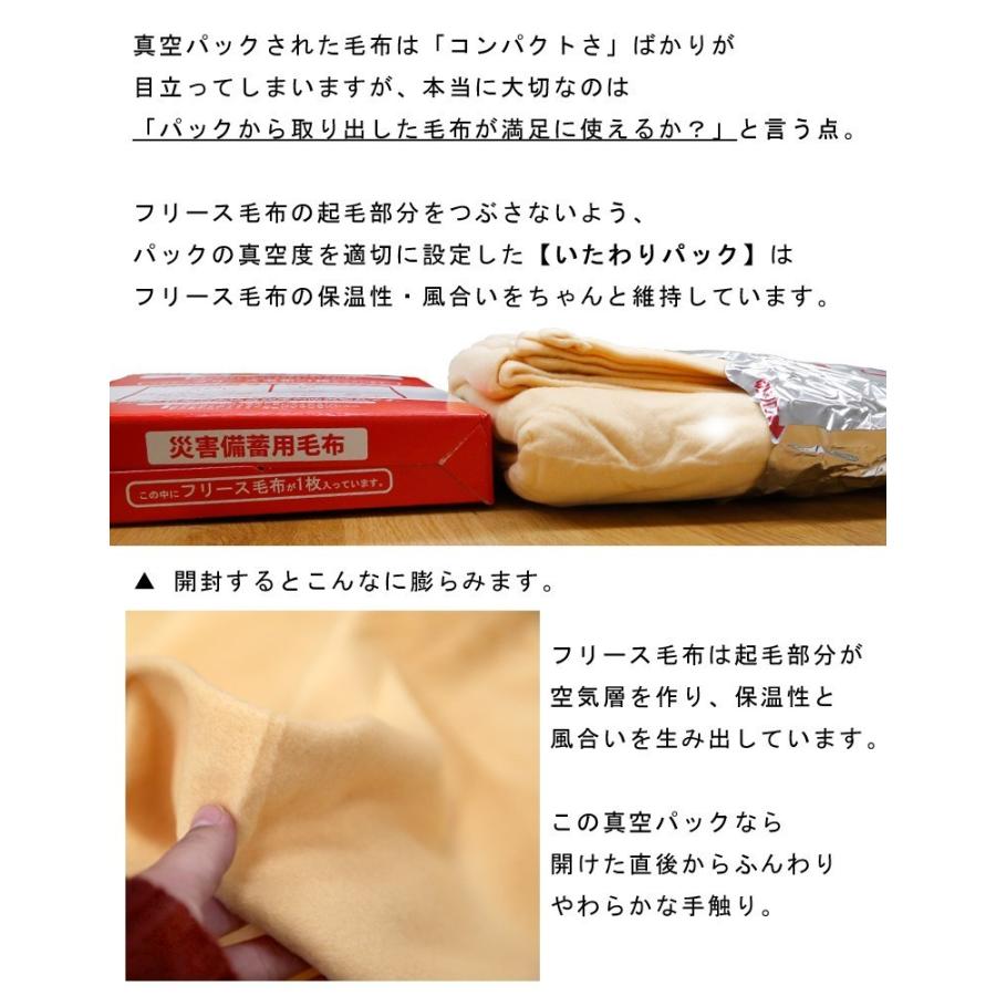 防災グッズ 防寒 毛布 災害備蓄用毛布 ケース販売 A4サイズ収納 コンパクト 備蓄 防災 災害 避難 待機 非常用 災害グッズ 難燃 フリース 防災毛布 防炎毛布 |  | 04