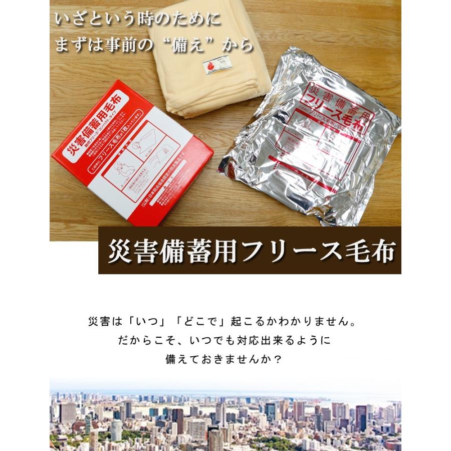 防災セット 防災グッズ 防寒 毛布 災害備蓄用毛布 A4サイズ収納 コンパクト 備蓄 防災 災害 避難 待機 非常用 災害グッズ 難燃 フリース 防災毛布 防炎毛布 |  | 01