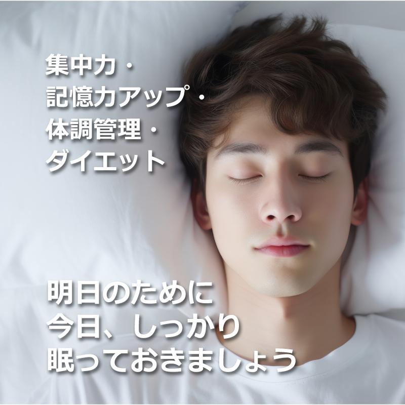 マットレス シングル 西川 高反発マットレス 三つ折り フェスタ2 FESTA2 97×200×9cm 敷き布団 ウレタン 抗菌防臭 | 西川 | 19