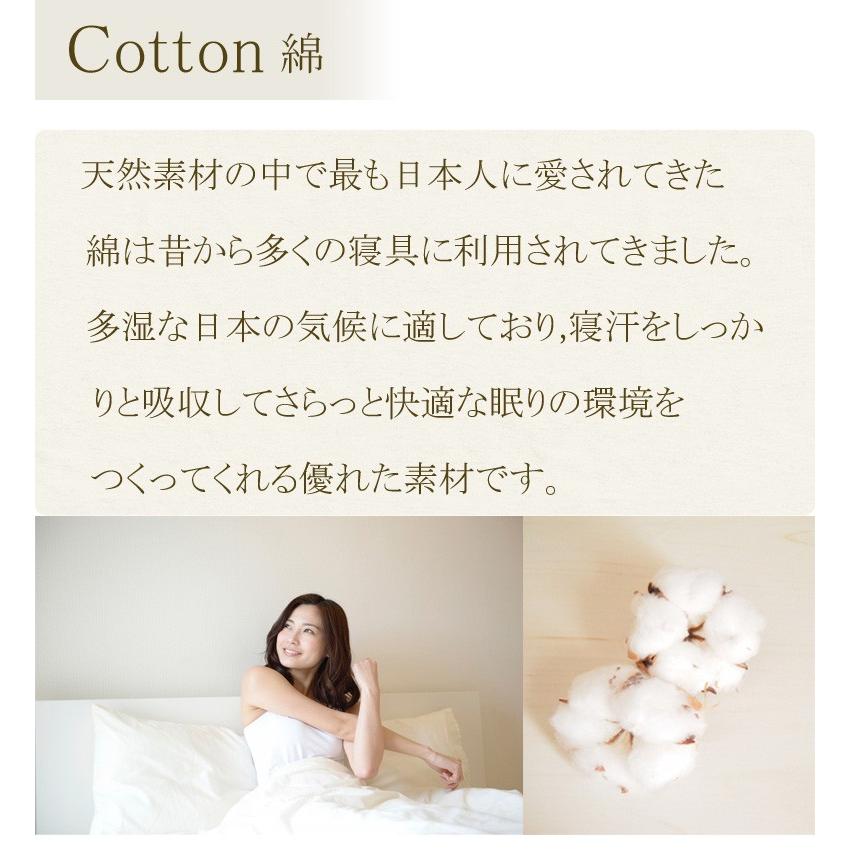 掛け布団カバー 一重ガーゼ シングルロング 150×210cm 和晒 綿100％ 無地 ガーゼ 春 夏 肌掛け おしゃれ ピンク ブルー アイボリー ベージュ |  | 09