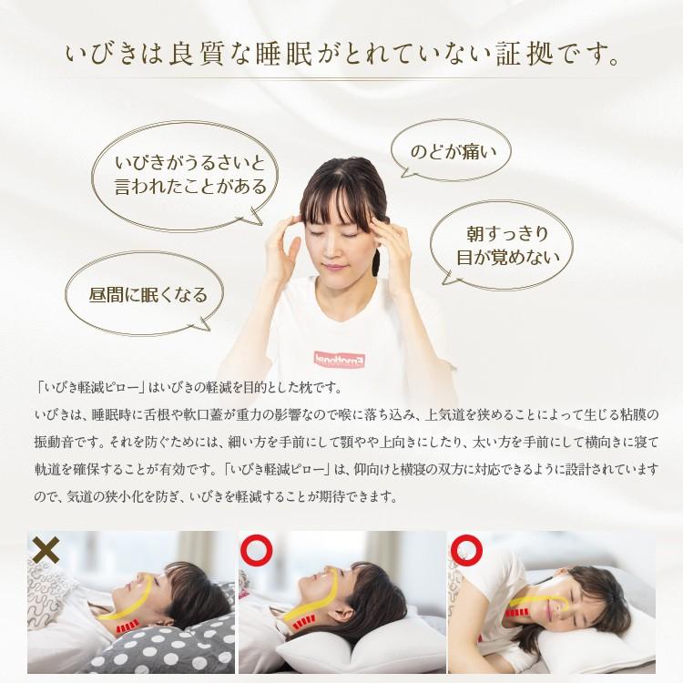 いびき 枕 いびき防止　いびき軽減ピローα ( アルファ ) 35×50cm Sサイズ スモールサイズ いびき対策 まくら 横向き寝 パイプ 硬め |  | 01