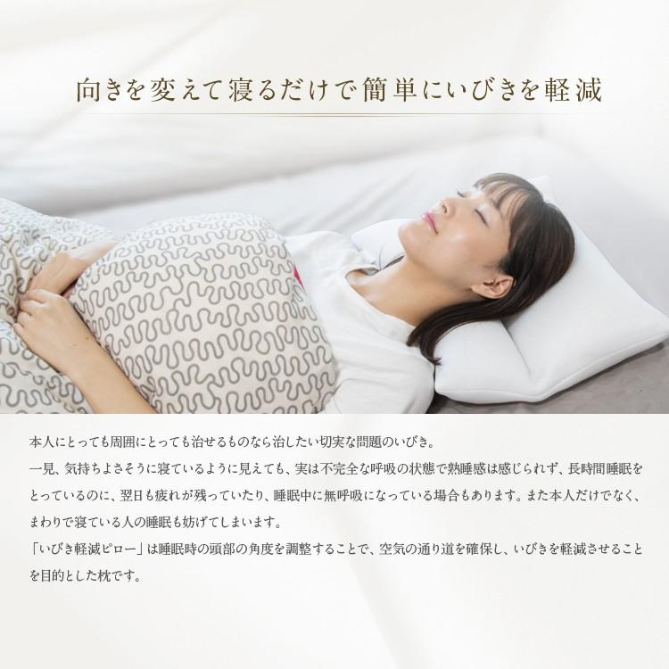 いびき 枕 いびき防止　いびき軽減ピローα ( アルファ ) 35×50cm Sサイズ スモールサイズ いびき対策 まくら 横向き寝 パイプ 硬め |  | 02