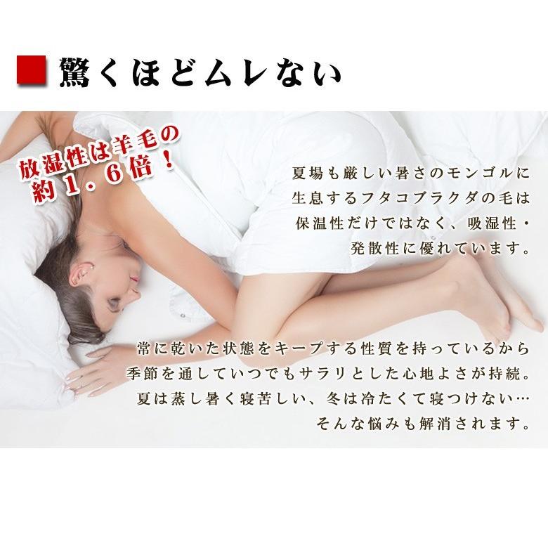 敷布団 敷きパッド イワタ キャメル 敷き布団 セミダブルロング 120×210cm レギュラーータイプ 日本製 iwata 岩田 キャメル布団 キャメルパット 寝返り 防ダニ |  | 07