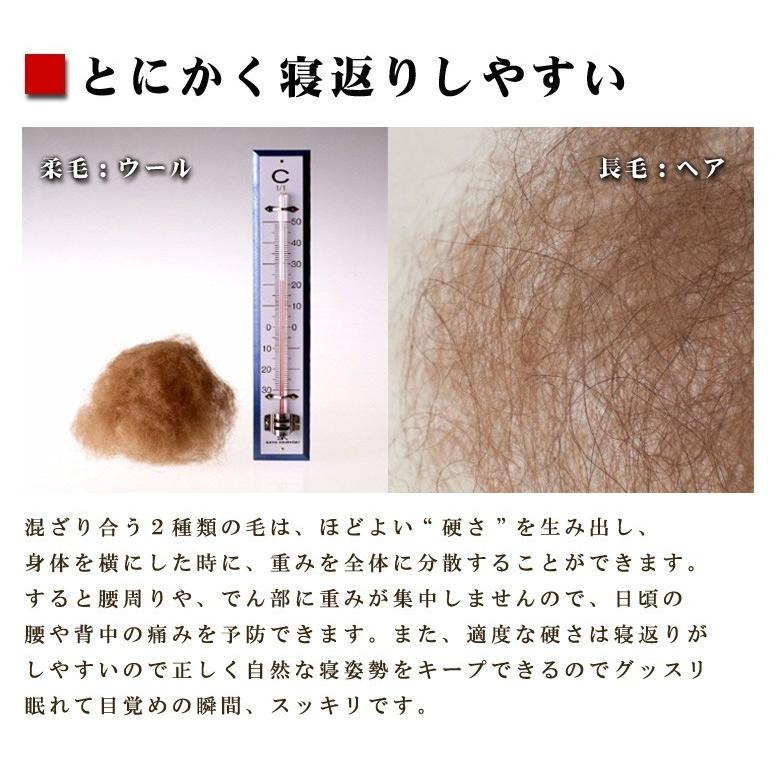 敷布団 敷きパッド イワタ キャメル 敷き布団 シングルロング 97×210cm ヘビータイプ 日本製 iwata 岩田 キャメル布団 キャメルパット 寝返り 防ダニ |  | 05