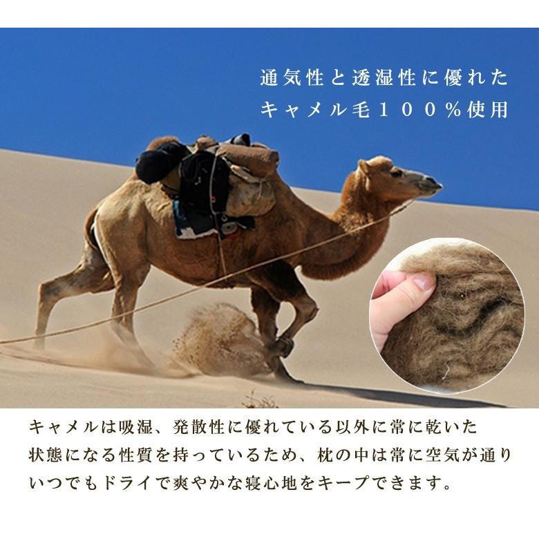 枕 イワタ キャメル枕 43×63cm 高さ5cm 高め 日本製 キャメルピロー 国産 ムレにくい 寝返り 洗える IWATA 岩田 キャメルまくら |  | 01