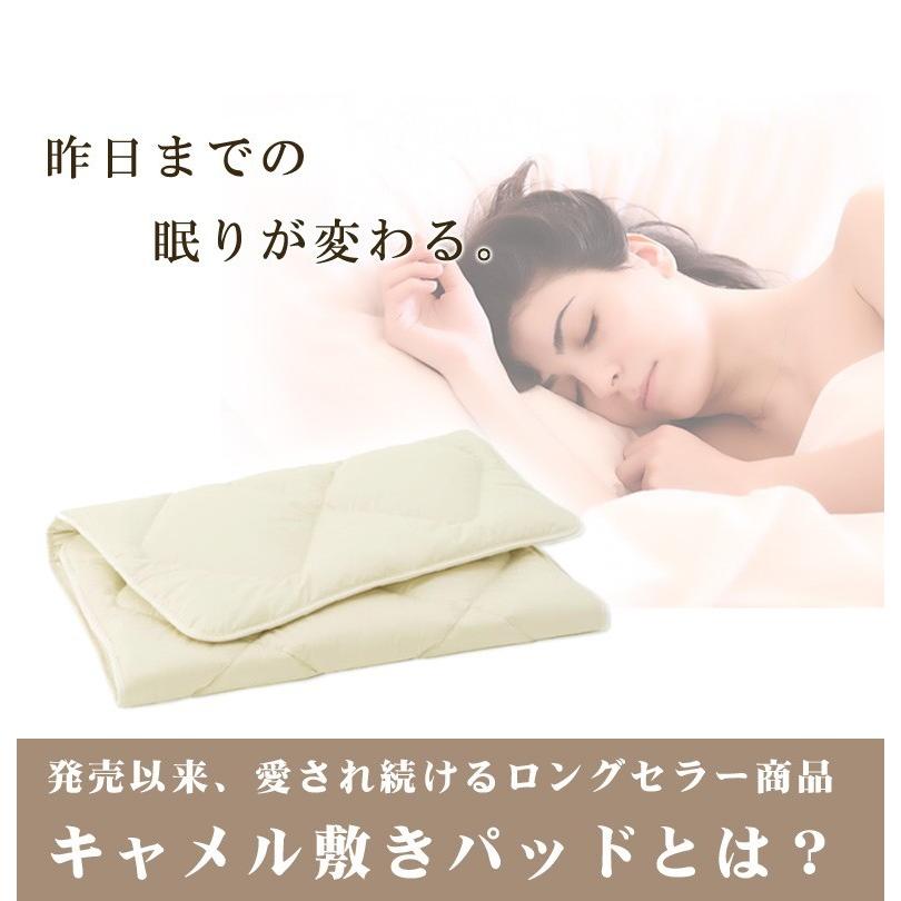 敷布団 敷きパッド イワタ キャメル 敷き布団 クイーン 160×200cm