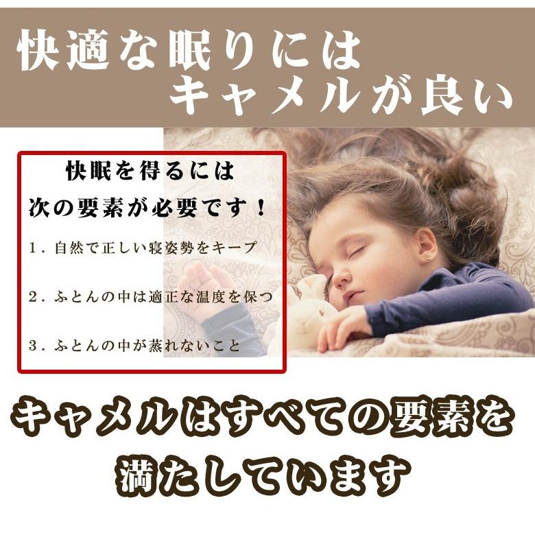 敷布団 敷きパッド イワタ キャメル 敷き布団 セミダブル 120×200cm ヘビータイプ 日本製 iwata 岩田 キャメル布団 キャメルパット 寝返り 防ダニ |  | 04