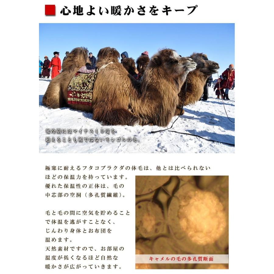 敷布団 敷きパッド イワタ キャメル 敷き布団 セミダブル 120×200cm ヘビータイプ 日本製 iwata 岩田 キャメル布団 キャメルパット 寝返り 防ダニ |  | 06