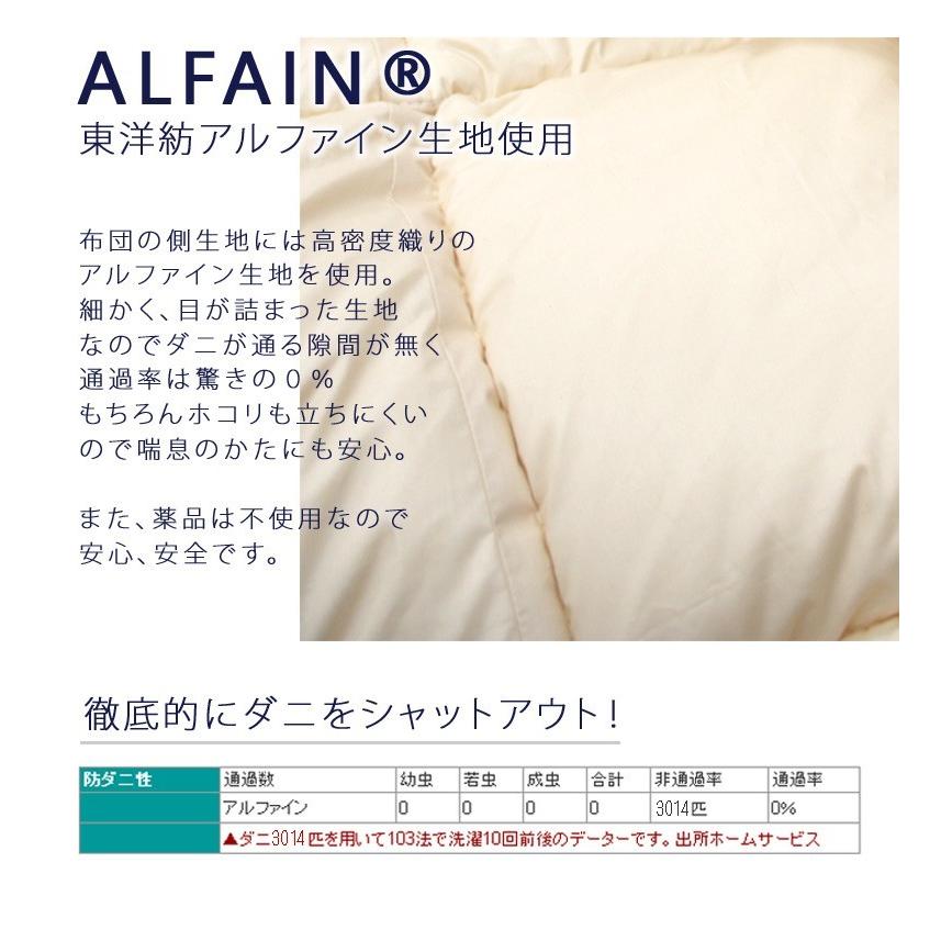 インビスタ ダクロン(R)NATURAL FEEL ダウン・ライク 中わた 洗える掛け布団 中綿増量タイプ  クイーンロングサイズ　アルファイン生地使用 |  | 06