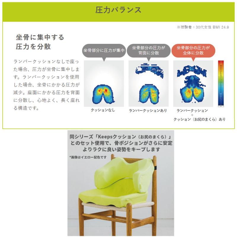 西川 キープス ランバー 座り姿勢 クッション keeps 腰のまくら 西川 キープス ランバー 座り姿勢 クッション keeps 腰のまくら