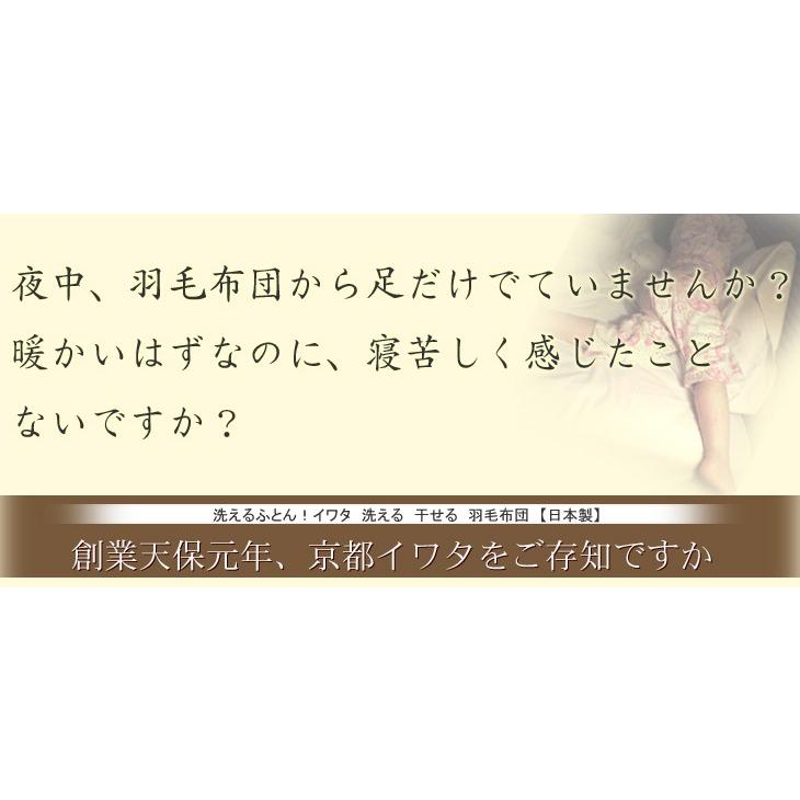 羽毛布団 羽毛掛け布団 掛け布団 イワタ セミダブルロング 170×210cm 洗える 日本製 国産 羽毛 ダウン 掛けふとん 冬 あったか iwata |  | 02