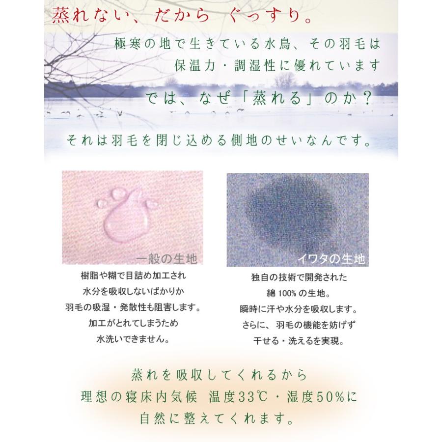 羽毛布団 ダウンケット セミダブルロング ウクライナダックダウン 羽毛肌掛け 肌掛け イワタ 掛け布団 洗える 日本製 国産 羽毛 夏 春 夏用掛け布団 |  | 03