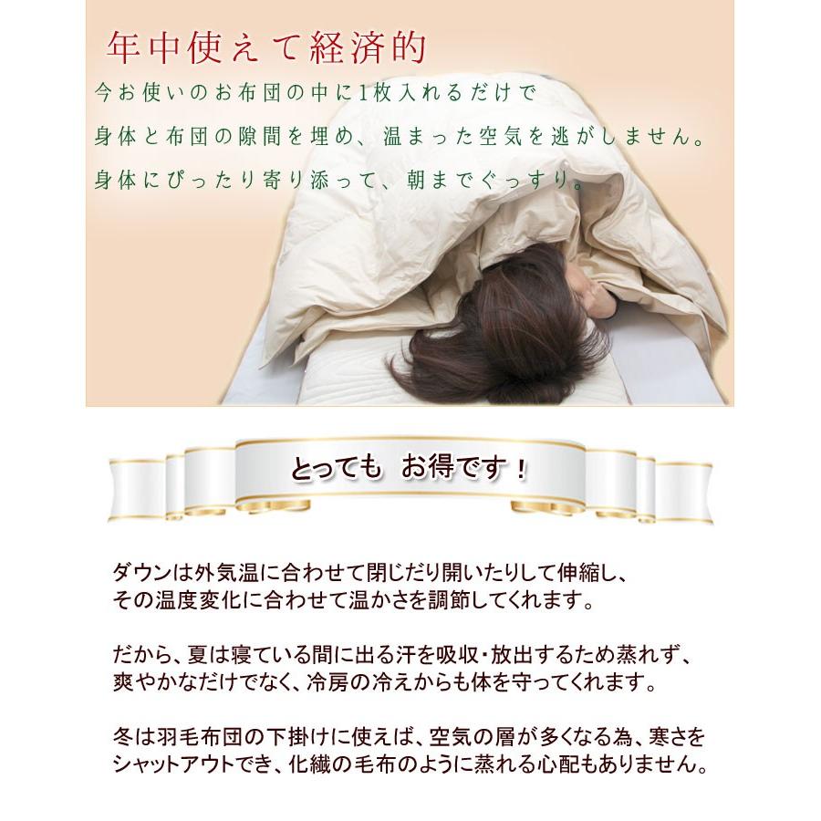 羽毛布団 ダウンケット ダブルロング ウクライナダックダウン 羽毛肌掛け 肌掛け イワタ 掛け布団 洗える 日本製 国産 羽毛 夏 春 夏用掛け布団 |  | 10