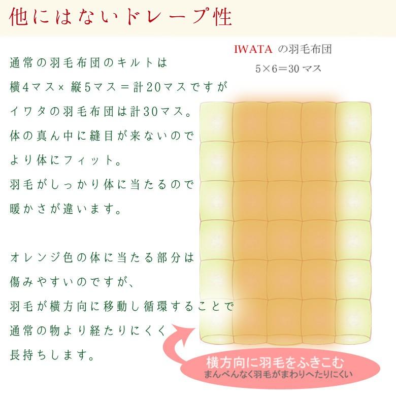 羽毛布団 ダウンケット ダブルロング ウクライナダックダウン 羽毛肌掛け 肌掛け イワタ 掛け布団 洗える 日本製 国産 羽毛 夏 春 夏用掛け布団 |  | 09