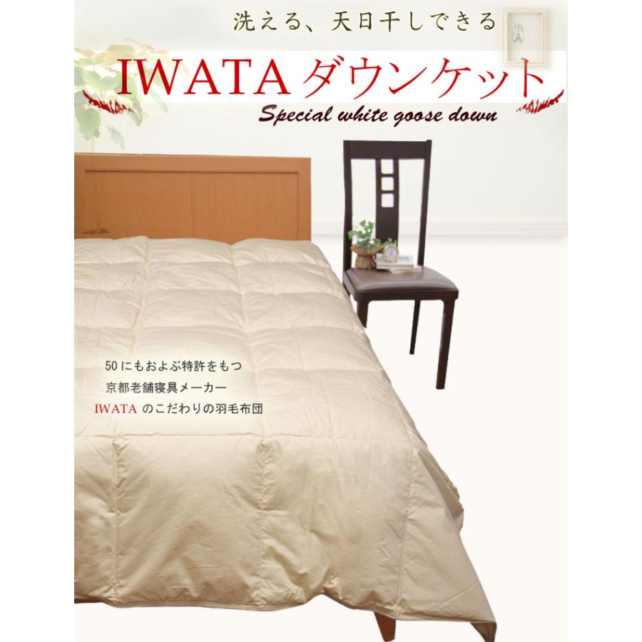 羽毛布団 ダウンケット クイーンロング ウクライナダックダウン 羽毛肌掛け 肌掛け イワタ 掛け布団 洗える 日本製 国産 羽毛 夏 春 夏用掛け布団 |  | 01